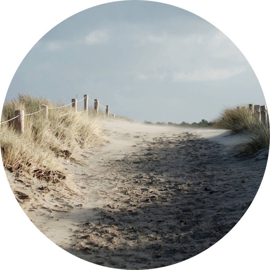 Texelphotos.nl Muurcirkel -Texel Duinpad Wanddecoratie rond Wandcirkel Noordzee – Duinen Strand – Zee – Noordzee – Natuur – Landschap Aluminium Dibond 50x50 cm Binnen en Buiten