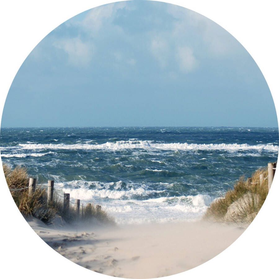 Texelphotos.nl Muurcirkel -Texel Duinpad Wanddecoratie rond Wandcirkel Noordzee – Duinen Strand – Zee – Noordzee – Natuur – Landschap Aluminium Dibond 60x60 cm Binnen en Buiten