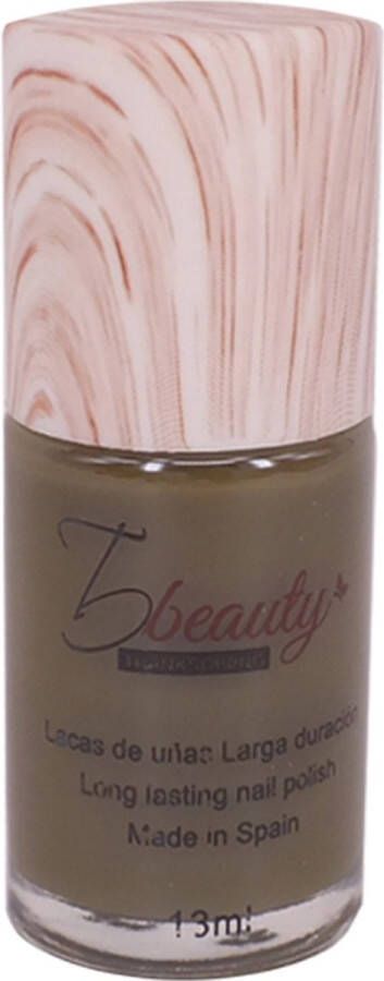 TG beauty Nail Polish N 41