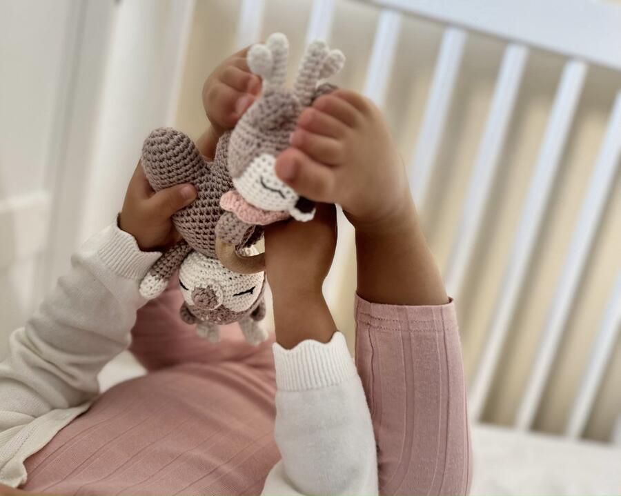 The Baby Supply Knuffel & Rammelaar set Hert