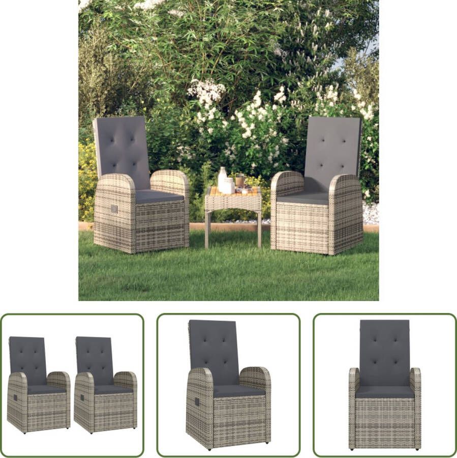 The Living Store Tuinstoelen 2 st verstelbaar met kussens poly rattan grijs Tuinstoel