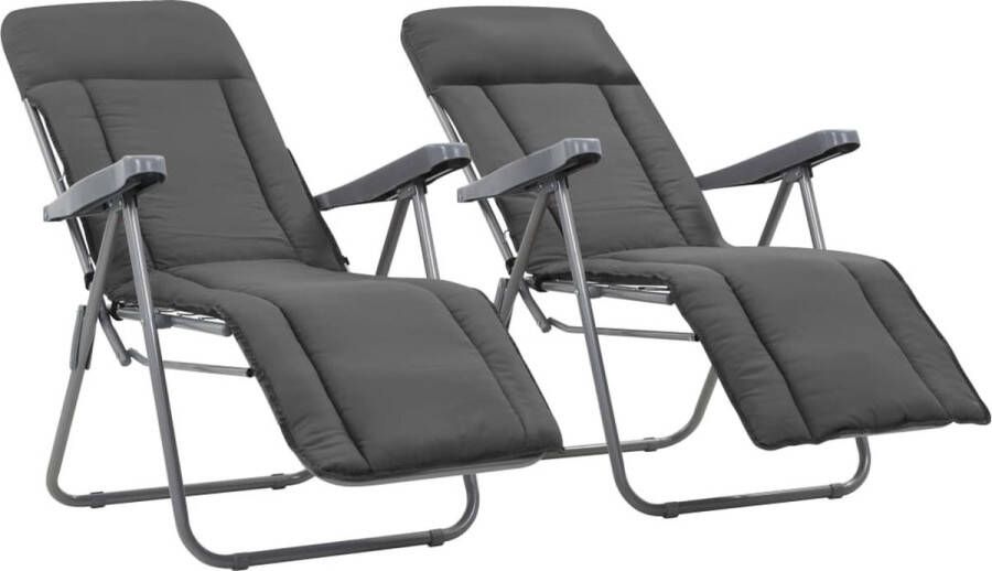 The Living Store Campingstoel Inklapbaar Verstelbaar Grijs 58 x 73 x 107 cm