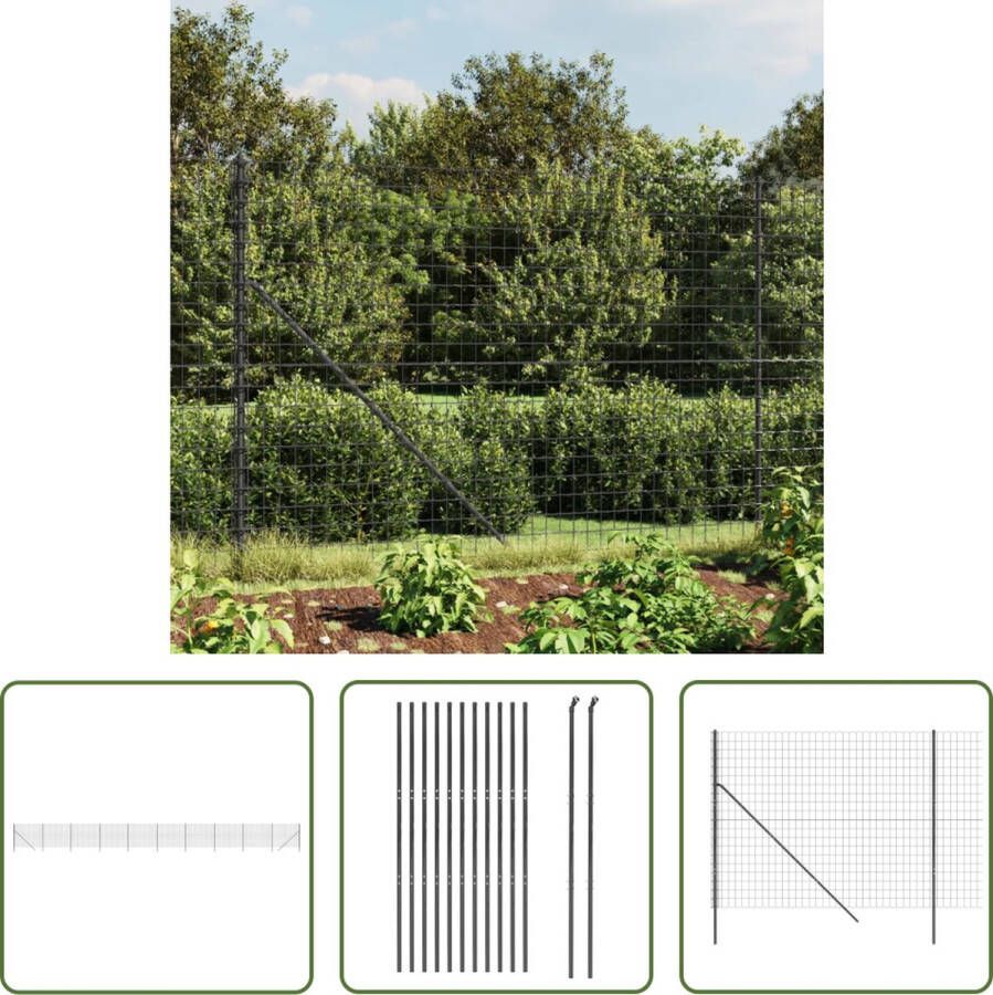 The Living Store Draadgaasomheining Tuinhek 2x25m Antraciet Gegalvaniseerd staal met PVC-coating