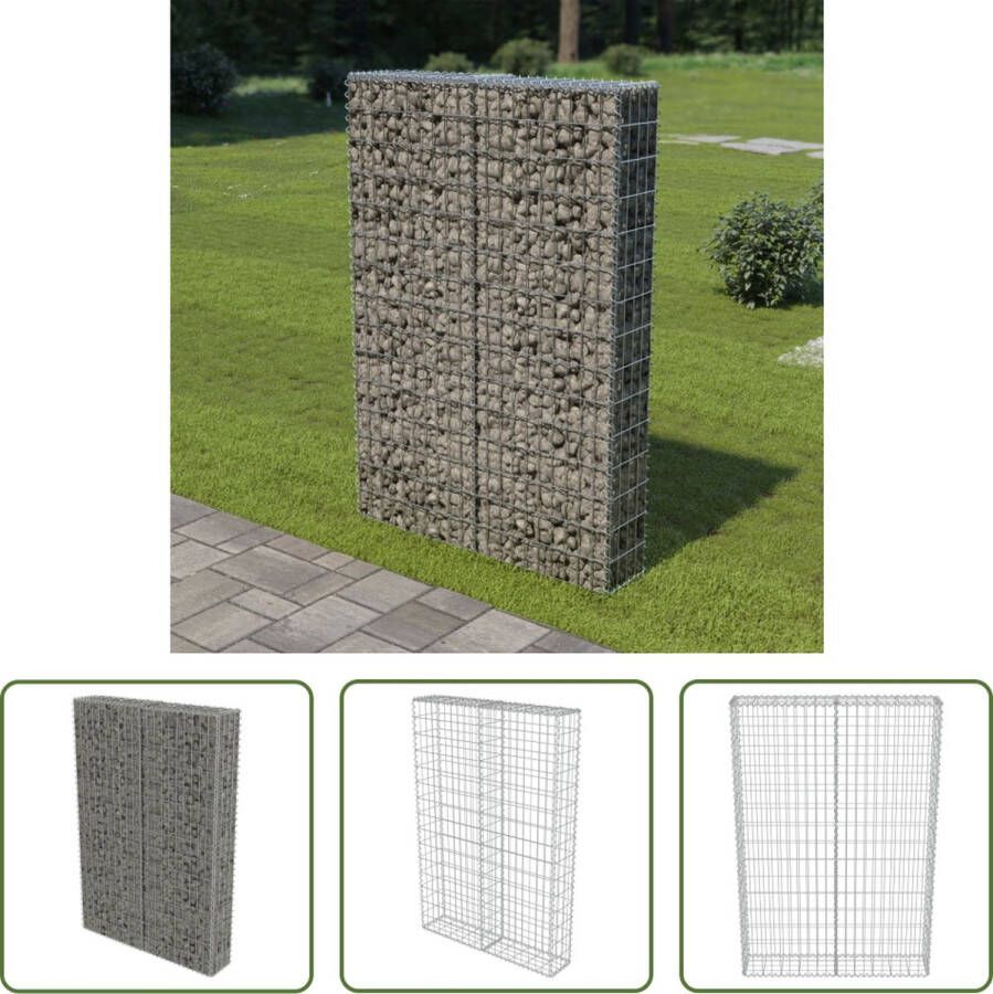 The Living Store Gabion mand 100x20x150cm zilver gegalvaniseerd staal