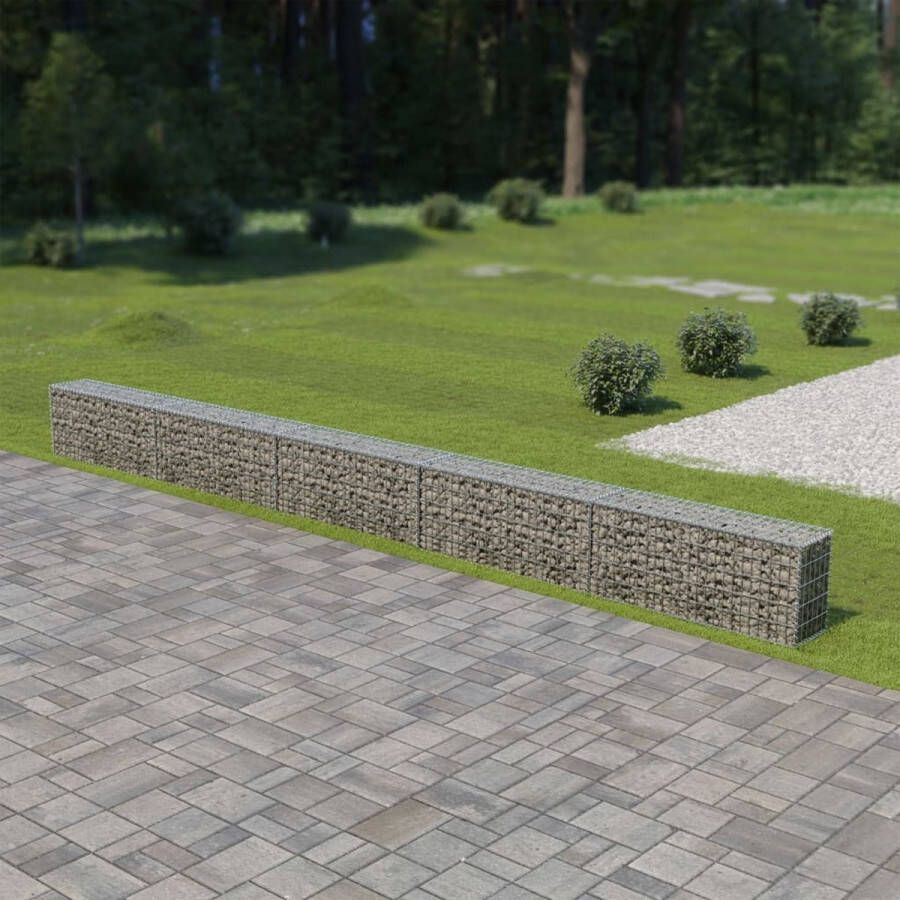 The Living Store Gabion Mand 600x30x50 cm Robuust en Duurzaam Zilver