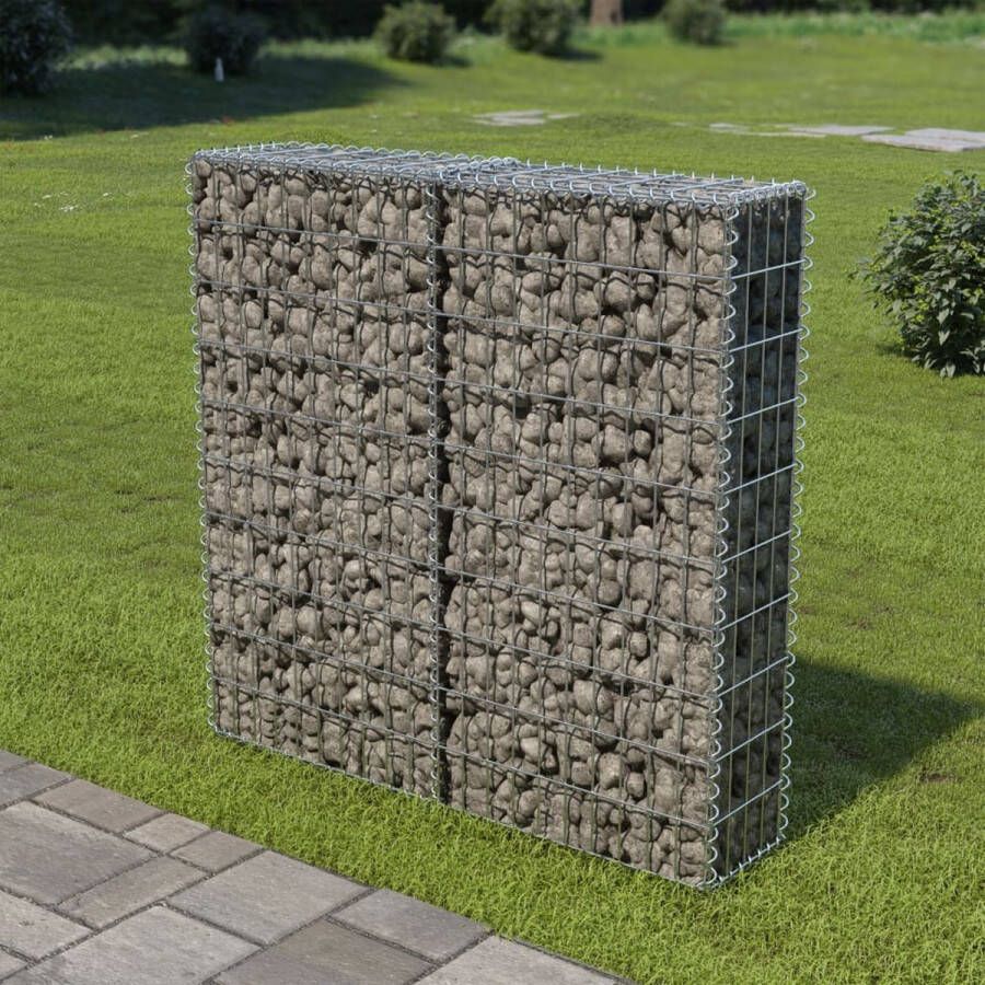 The Living Store Gabion Mand Gegalvaniseerd Staal 100x20x100cm Sterke Schanskorf voor Windscherm Zilver