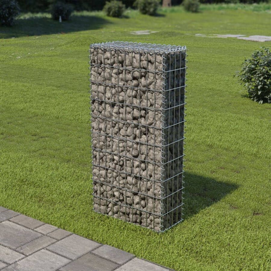 The Living Store Gabion mand Roestvrij Staal 50x20x100 cm Sterke en Duurzame Schanskorf