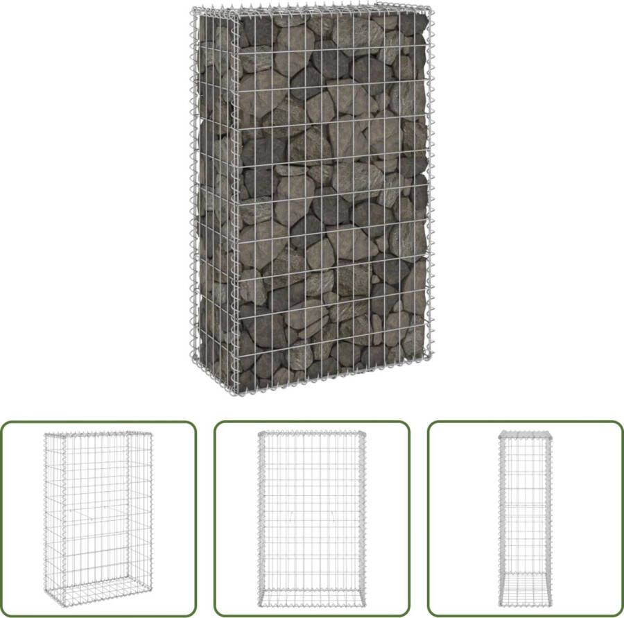 The Living Store Gabion Mand Staal 60x30x100cm Gegalvaniseerd Zilverkleurig Hoog draagvermogen