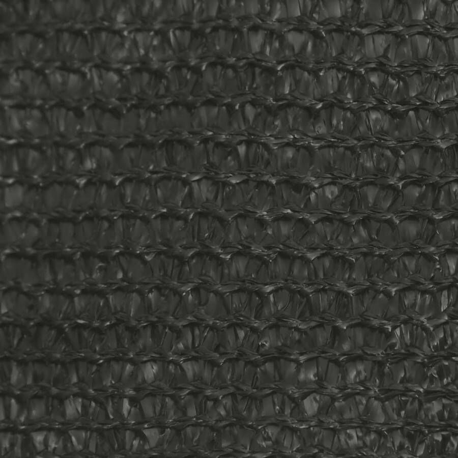 The Living Store HDPE Schaduwdoek 3 4 x 3 m Antraciet Trapezium vorm 90% UV-bescherming