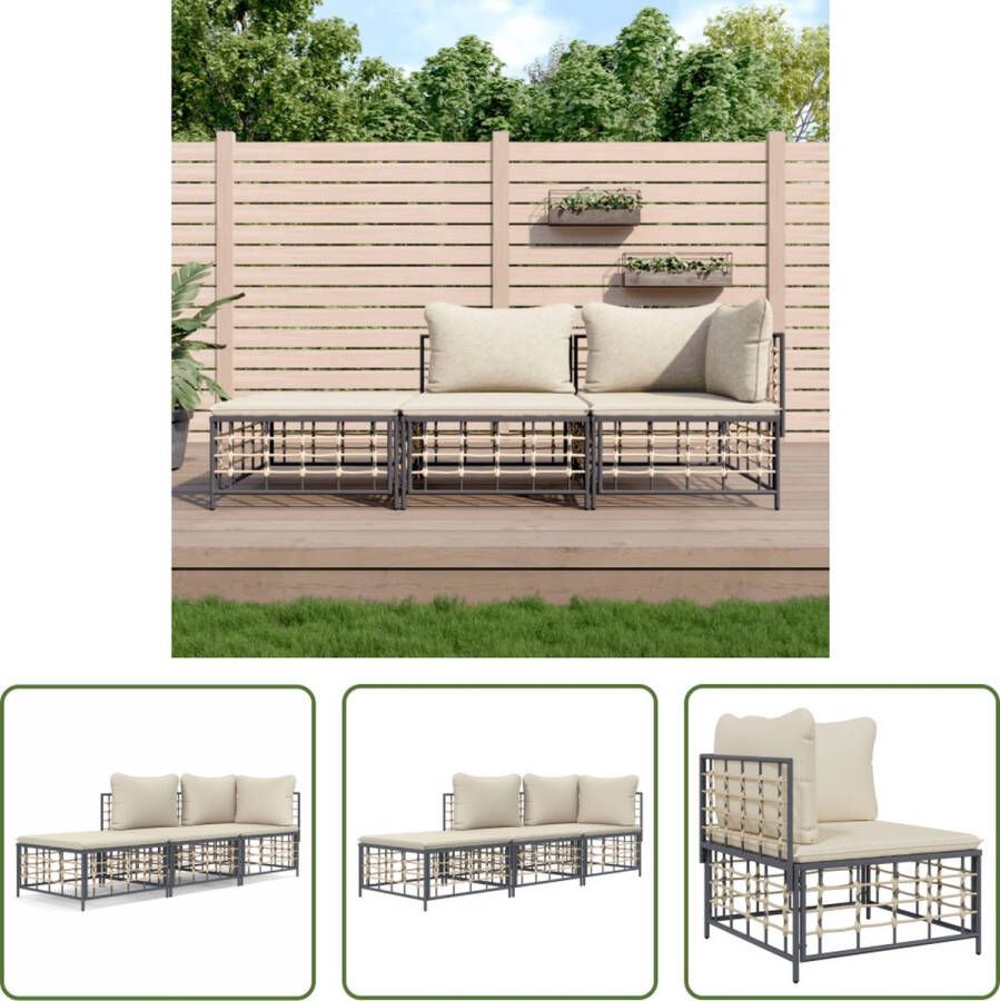 The Living Store 3-delige Loungeset met kussens poly rattan antracietkleurig Loungebank