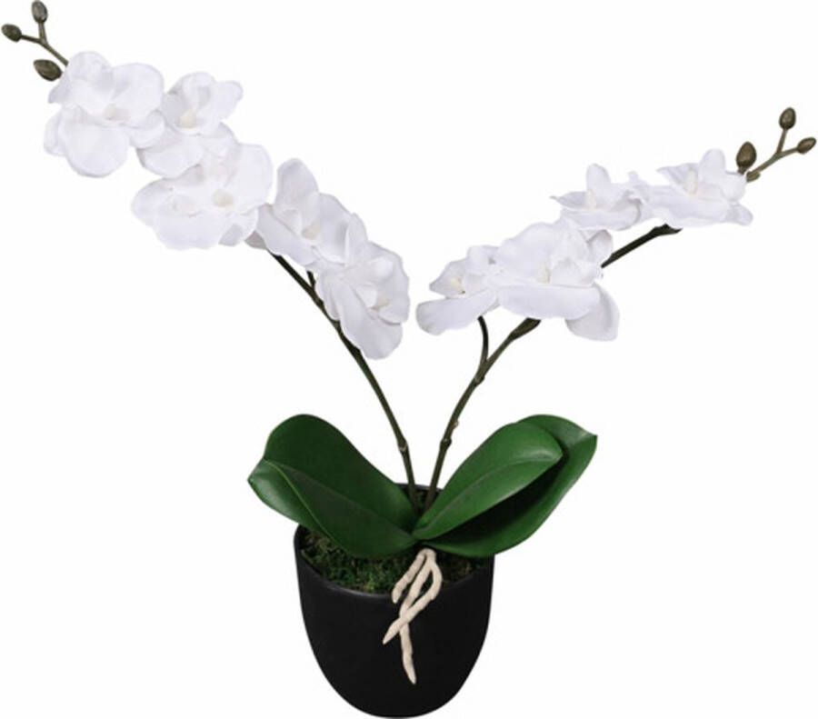 The Living Store Kunst Orchidee 30 cm Realistische uitstraling Hoogwaardige materialen Inclusief pot Witte bloemen Polyester- 100%