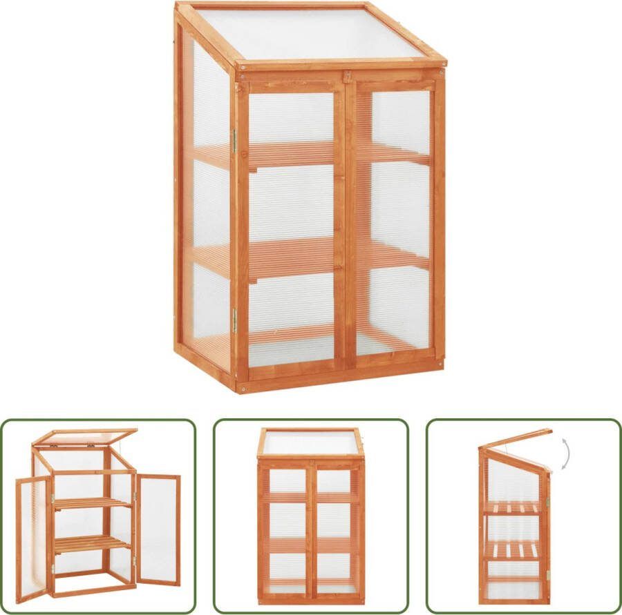 The Living Store Kweekkas Hout 60 x 45 x 85 100 cm Met PC-platen
