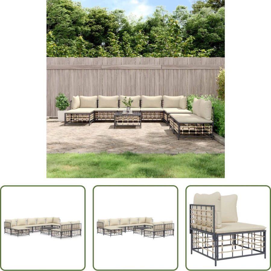 The Living Store Loungebank Antraciet Poly Rattan 72x72x66 cm Weerbestendig