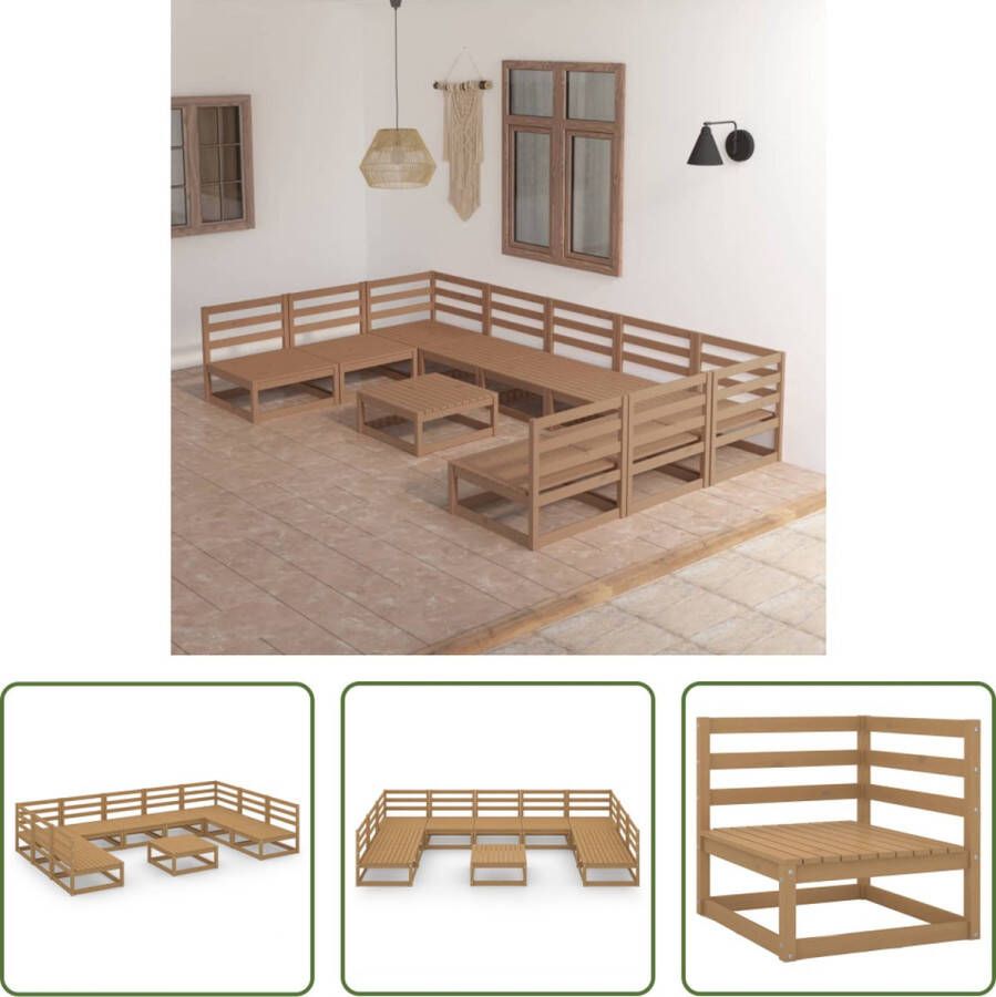 The Living Store Loungeset Tuinmeubelen 70 x 70 x 67 cm Honingbruin