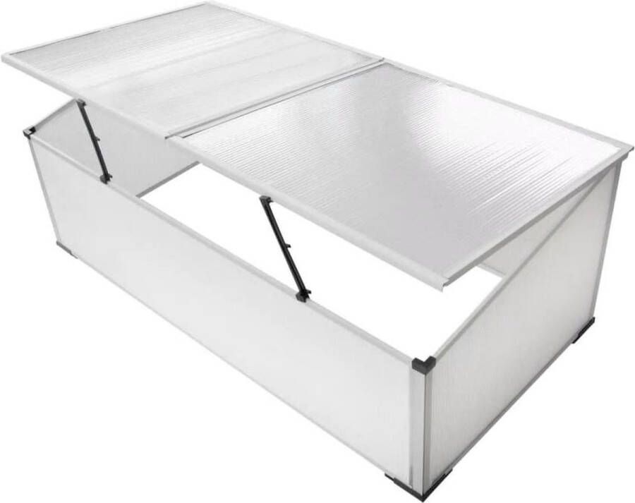 The Living Store Minikas Kweekbak 110 x 55 x 41 cm Polycarbonaat 2 deksels