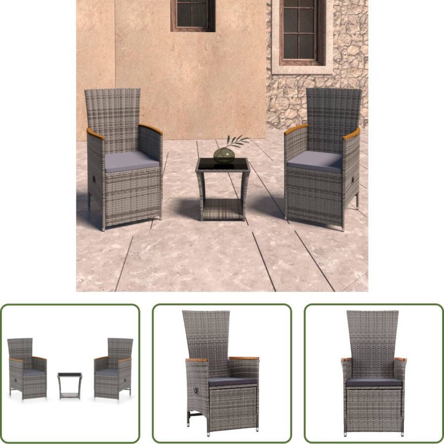 The Living Store Poly Rattan Tuinset Armstoelen en Tafel Waterbestendig PE-rattan Gepoedercoat Stalen Frames Glazen Blad Verstelbare Stoelen Lichtgewicht Constructie Inclusief Zitkussens