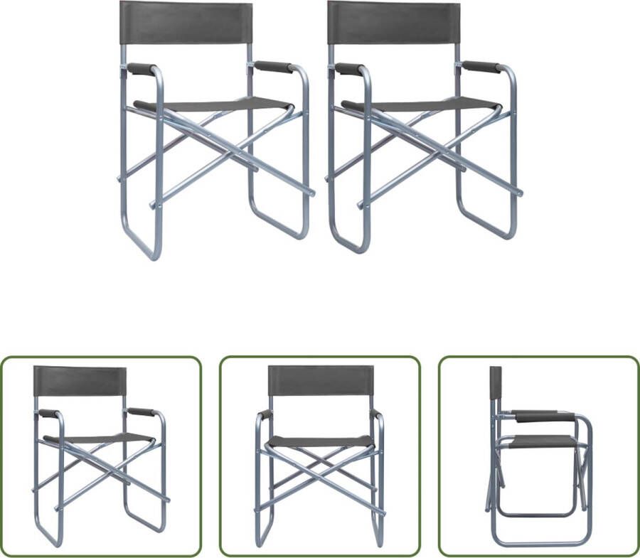The Living Store Regisseursstoel Inklapbaar Grijs Staal 48 x 57 x 79 cm