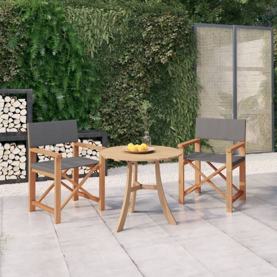 The Living Store Regisseursstoelen Massief teakhout Inklapbaar Grijs 57.5 x 54.5 x 85 cm