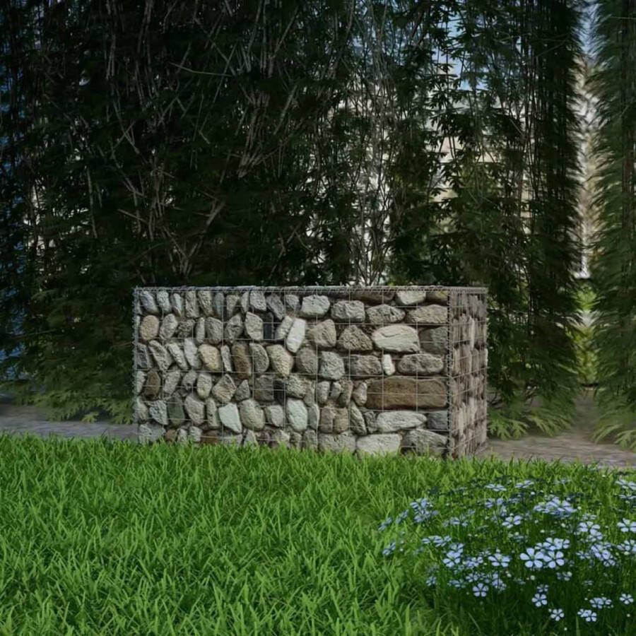 The Living Store Schanskorf Gabion Mand 100 x 50 x 50 cm Gegalvaniseerd staal