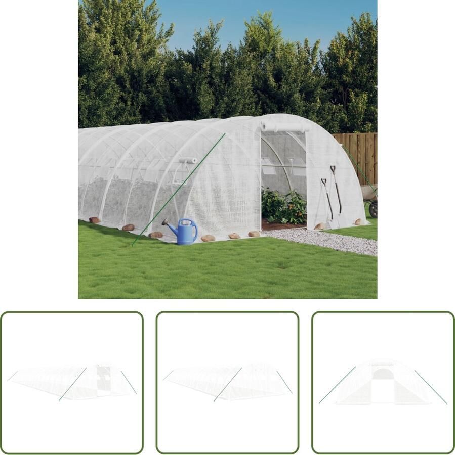The Living Store Tuinkas Ruime broeikas voor planten groenten en fruit 20 x 4 x 2 m PE materiaal Gegalvaniseerd stalen frame