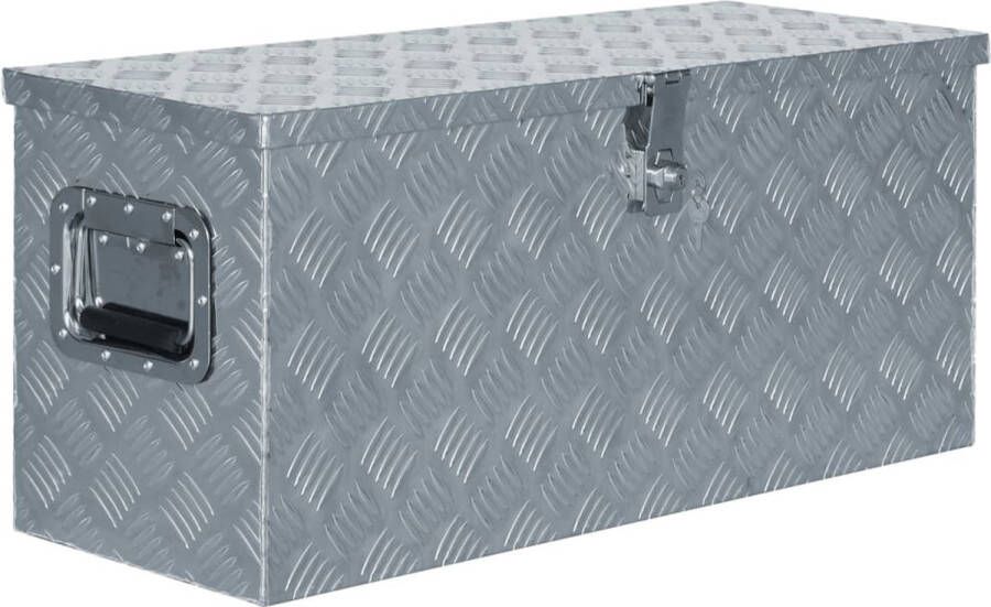 The Living Store Trailerkist Aluminium 80x30 cm Ruime opbergbox met vergrendelsysteem Zilver Hoge kwaliteit