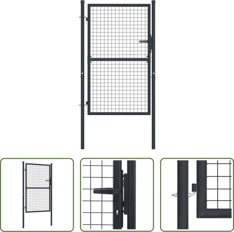 The Living Store Tuinhek Gegalvaniseerd Staal 100x175 cm Antraciet 3 Sleutels