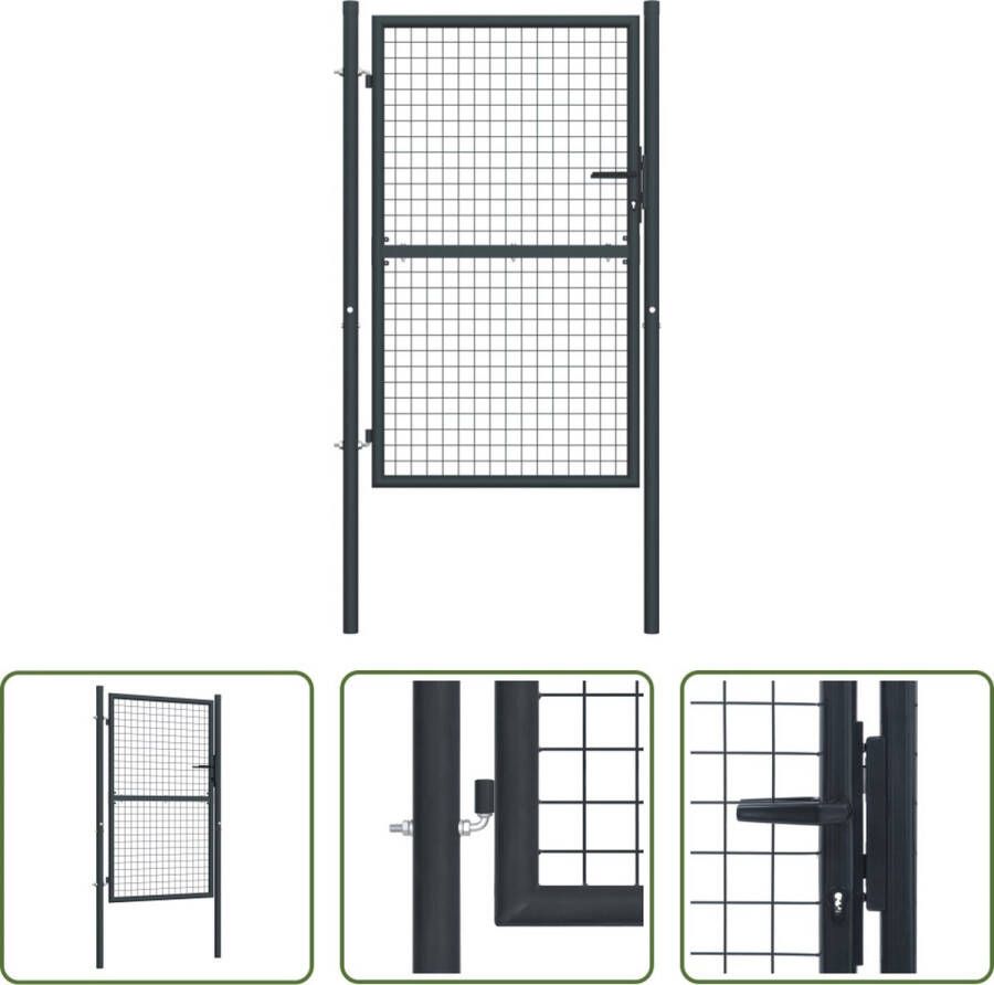 The Living Store Tuinhek Gegalvaniseerd Staal Hoge stabiliteit Roestbestendig 100x250 cm (BxH) 85.5x200 cm (BxH) Antraciet 3 sleutels