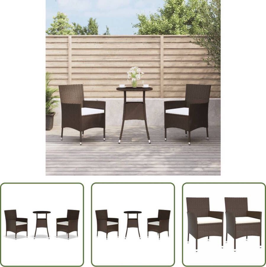 The Living Store Tuinset Serre Bruin 55 x 75 cm Poly rattan en gepoedercoat staal