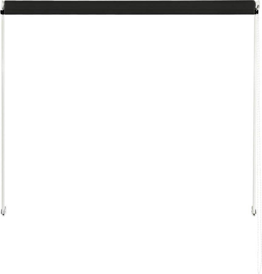 The Living Store Uittrekbaar Zonnescherm 100 x 150 cm Staal en polyester Antraciet Handbediend