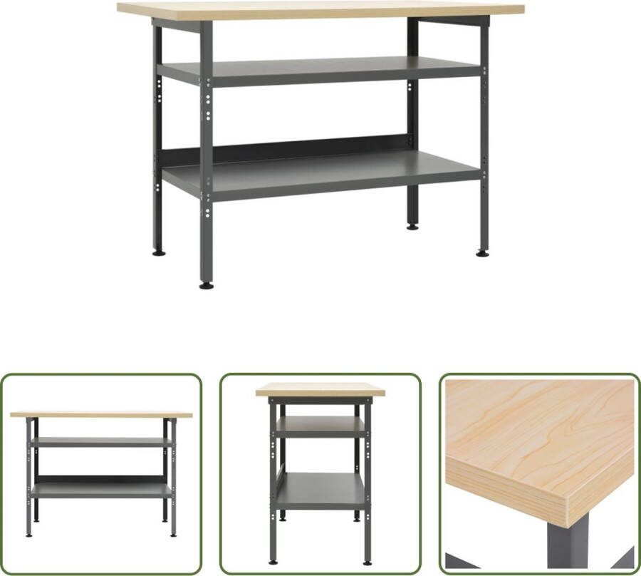 The Living Store Werkbank Robuust Werkplaats en garage Afmetingen- 120 x 60 x 85 cm Draagvermogen-300 kg Kleur- Grijs