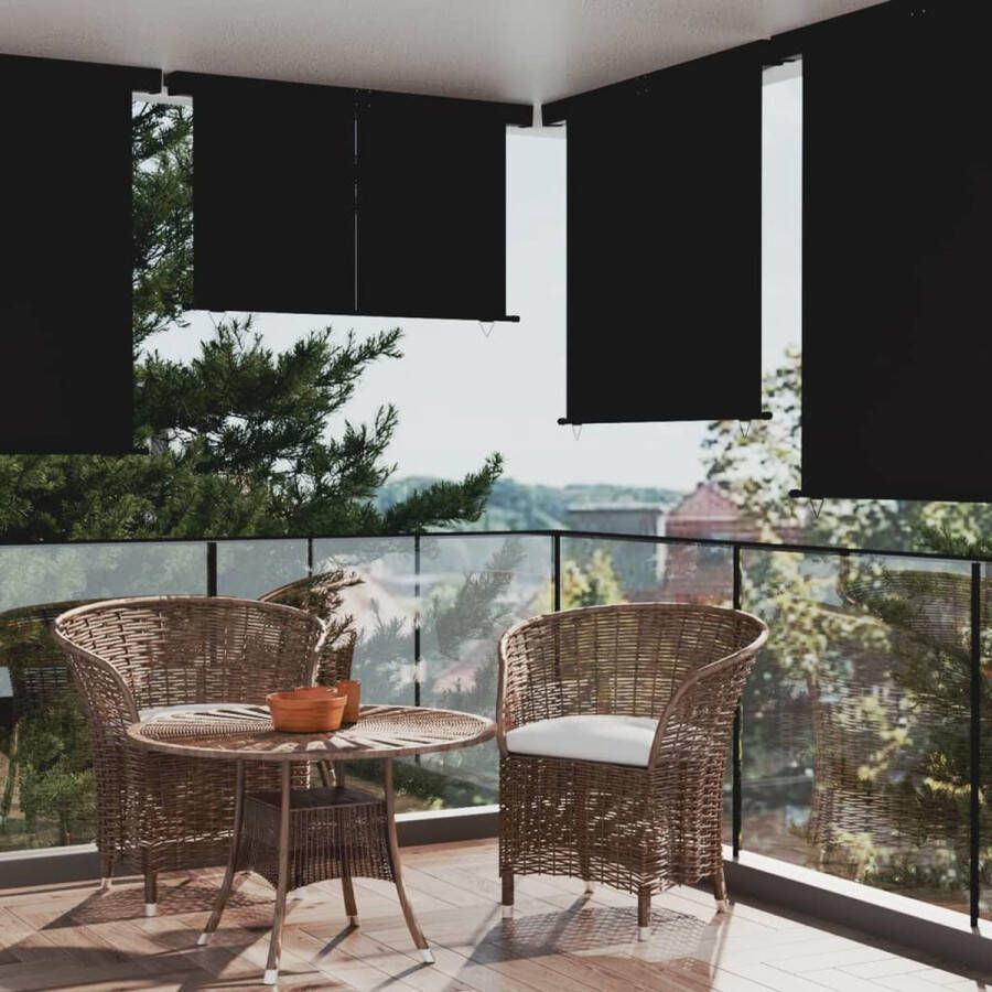 The Living Store Zonnescherm 160 x 250 cm UV- en scheurbestendig polyester Automatisch oprollen Zwart