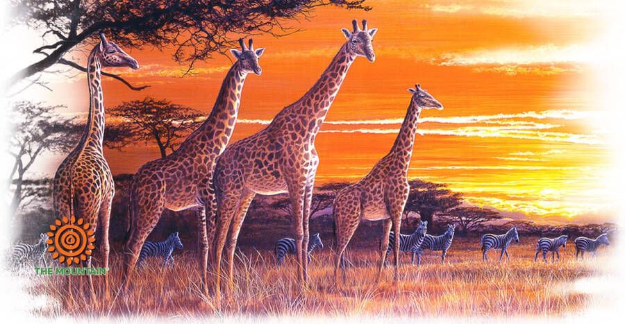 The Mountain Mok Sundown Giraffes 440 ml