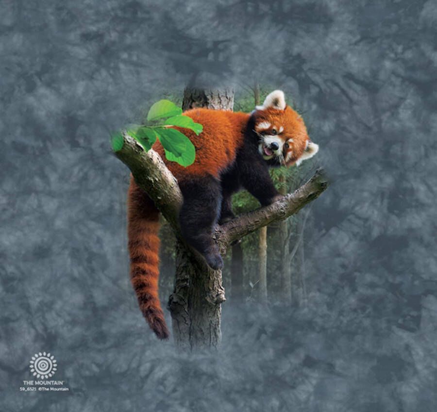 The Mountain Tumbler Red Panda Tree 500 ml