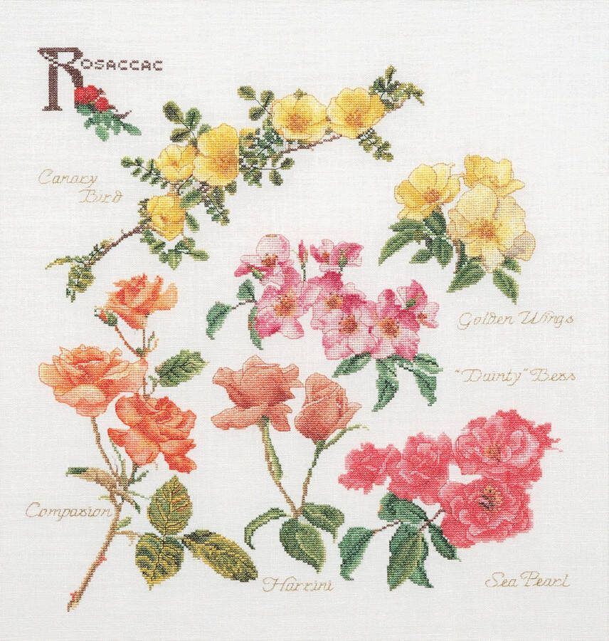 Thea Gouverneur Borduurpakket met telpatroon 3066 Voorgesorteerde DMC Garens Rozen Linnen 44 cm x 46 cm DIY Kit