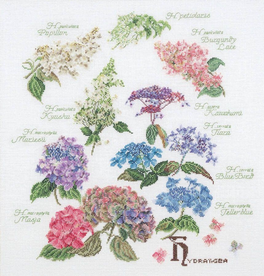 Thea Gouverneur Borduurpakket met telpatroon 3067 Voorgesorteerde DMC Garens Hortensia Linnen 44 cm x 46 cm DIY Kit