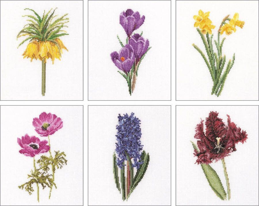 Thea Gouverneur Borduurpakket met telpatroon 3083A Voorgesorteerde DMC Garens 6 Bloemportretten Aida 6 cm x 17 cm DIY Kit