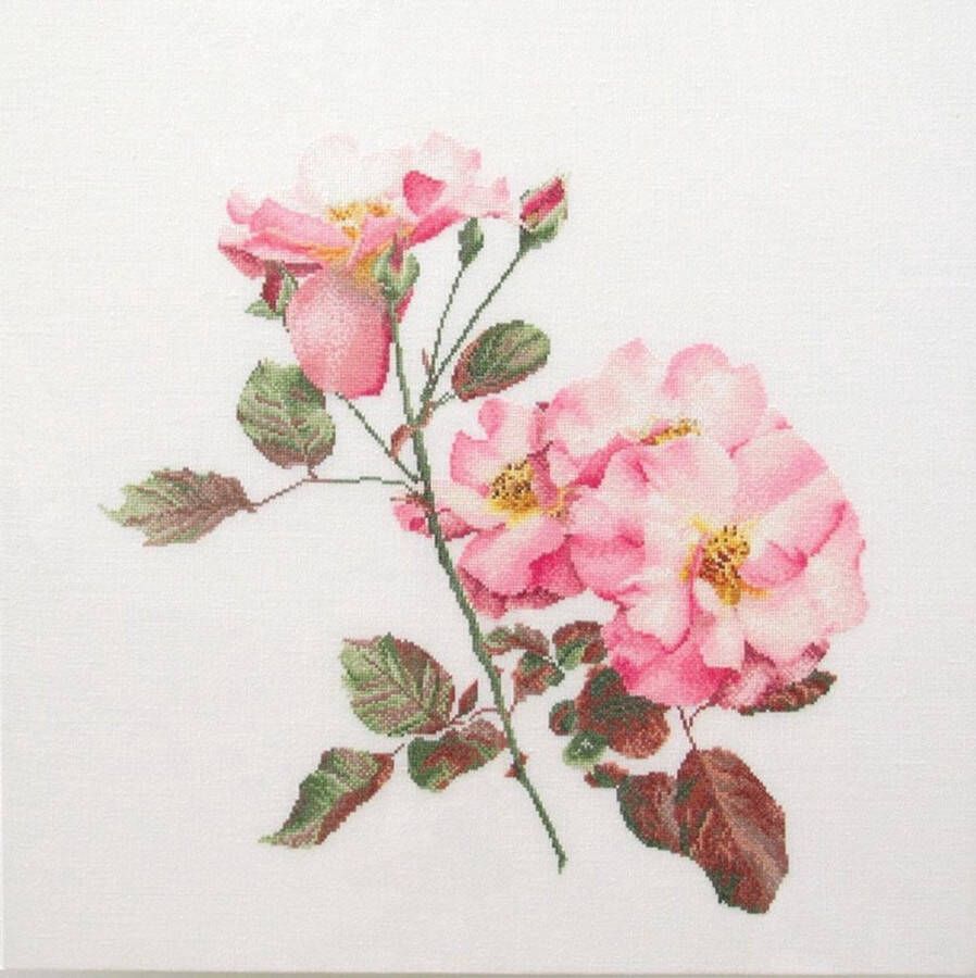 Thea Gouverneur Borduurpakket met telpatroon 412 Voorgesorteerde DMC Garens Rosa Leersum Roos Linnen 44cm x 44cm