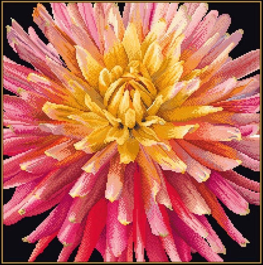 Thea Gouverneur Borduurpakket met telpatroon 441.05 Voorgesorteerde DMC Garens Dhalia Zwart Aida 33 cm x 33 cm DIY Kit