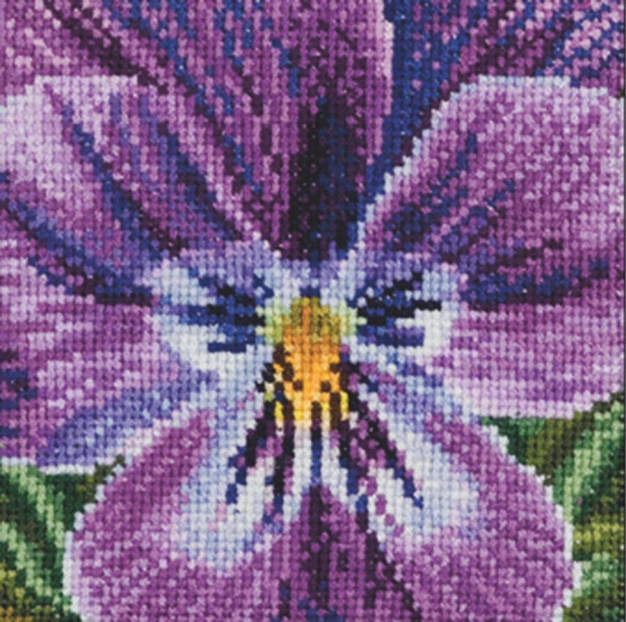 Thea Gouverneur Borduurpakket met telpatroon 456A Voorgesorteerde DMC Garens Viooltje Aida 10 cm x 10 cm DIY Kit