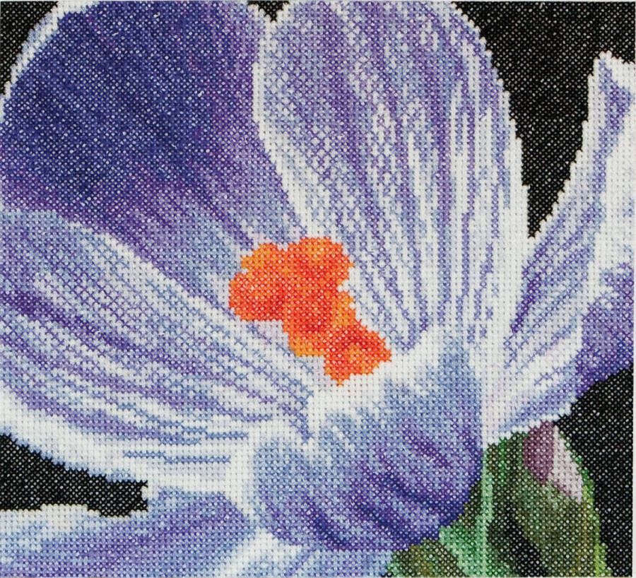 Thea Gouverneur Borduurpakket met telpatroon 487A Voorgesorteerde DMC Garens Krokus Aida 15 cm x 14 cm DIY Kit