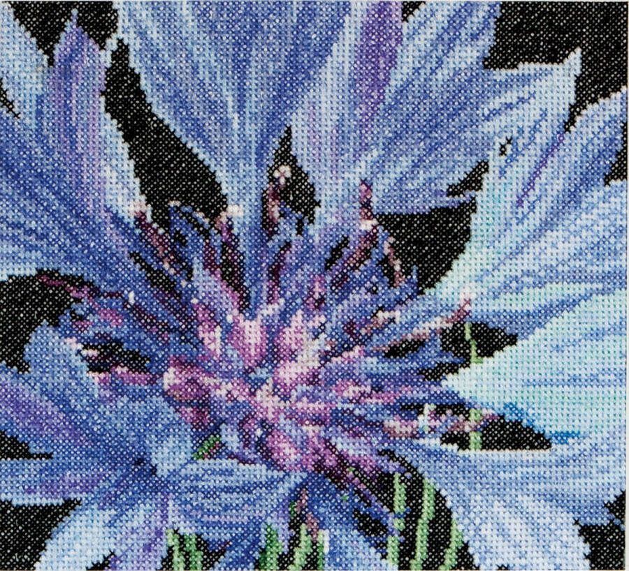 Thea Gouverneur Borduurpakket met telpatroon 489A Voorgesorteerde DMC Garens Korenbloem Aida 15 cm x 14 cm DIY Kit