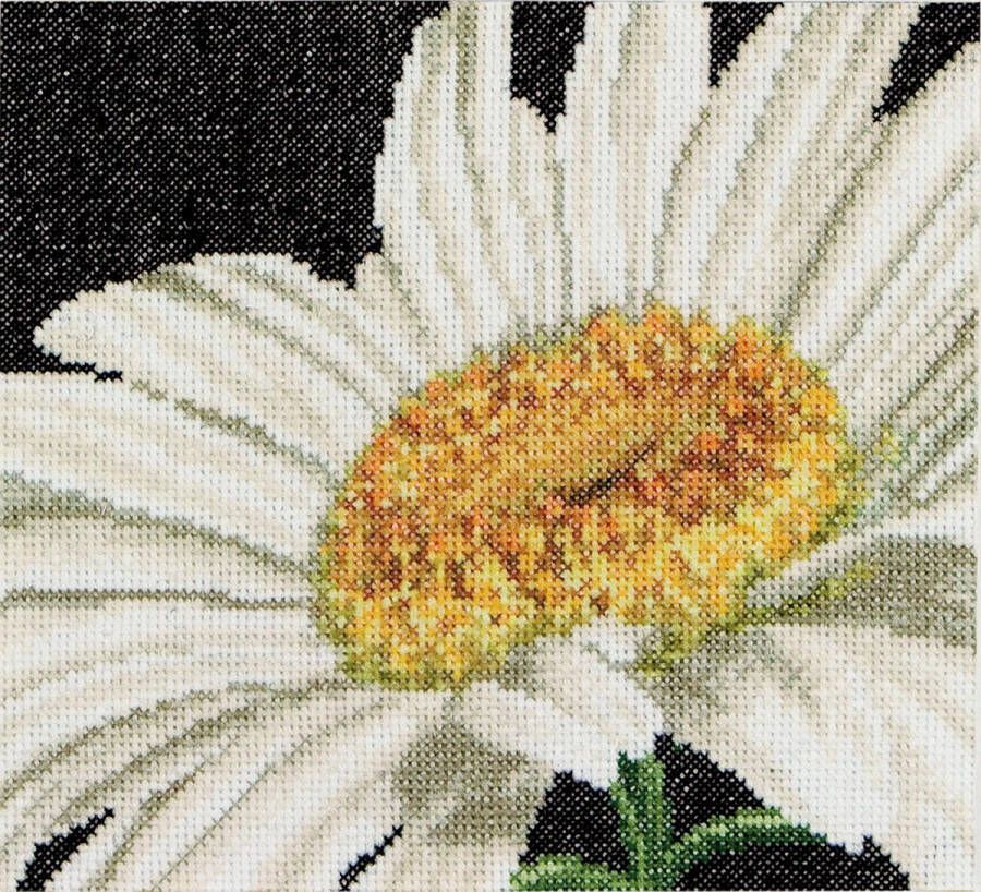 Thea Gouverneur Borduurpakket met telpatroon 490A Voorgesorteerde DMC Garens Margriet Aida 15 cm x 14 cm DIY Kit