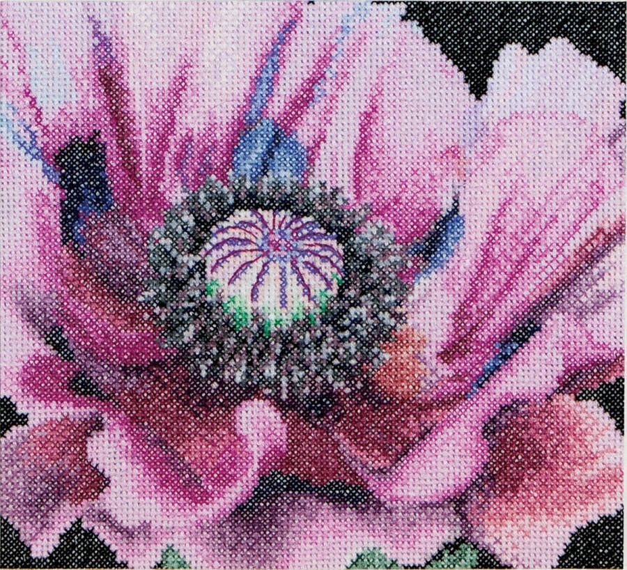 Thea Gouverneur Borduurpakket met telpatroon 491A Voorgesorteerde DMC Garens Papaver Aida 15 cm x 14 cm DIY Kit