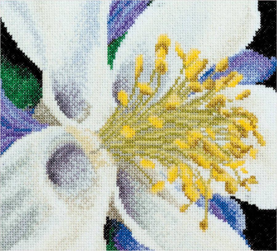 Thea Gouverneur Borduurpakket met telpatroon 493A Voorgesorteerde DMC Garens Akelei Aida 15 cm x 14 cm DIY Kit