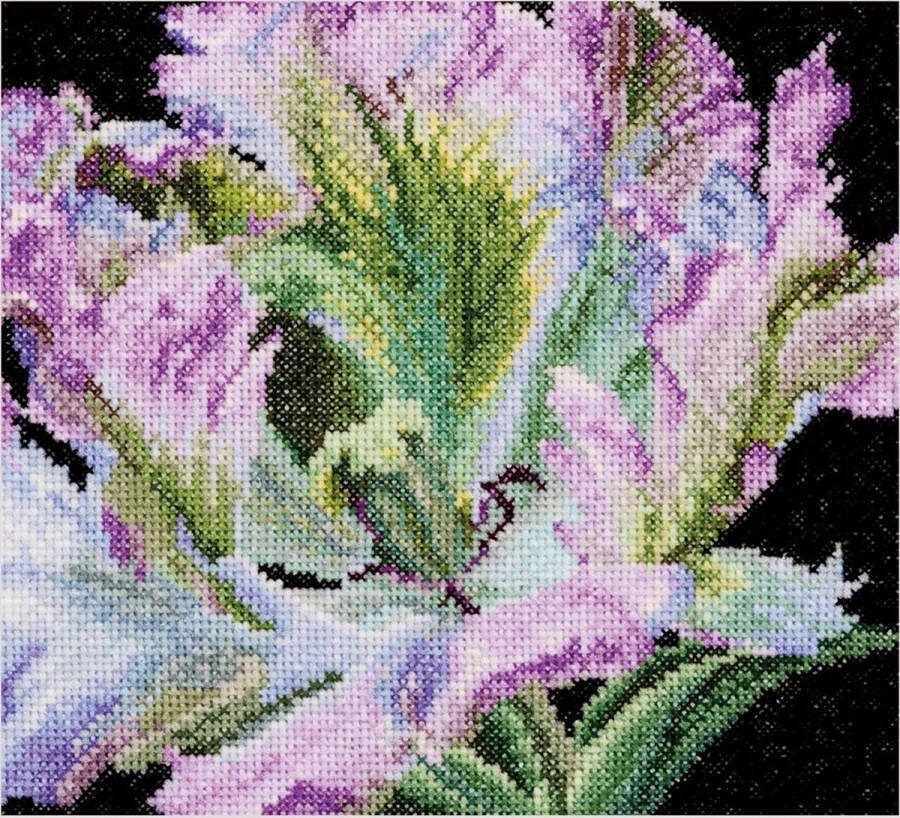 Thea Gouverneur Borduurpakket met telpatroon 494A Voorgesorteerde DMC Garens Tulp Aida 15 cm x 14 cm DIY Kit