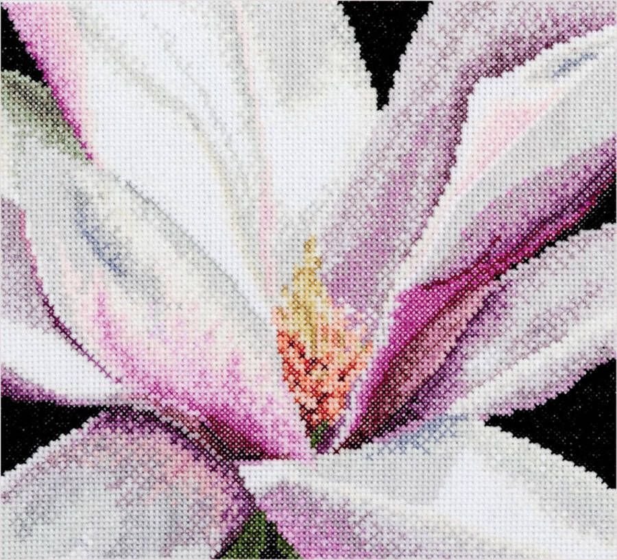 Thea Gouverneur Borduurpakket met telpatroon 495A Voorgesorteerde DMC Garens Magnolia Aida 15 cm x 14 cm DIY Kit