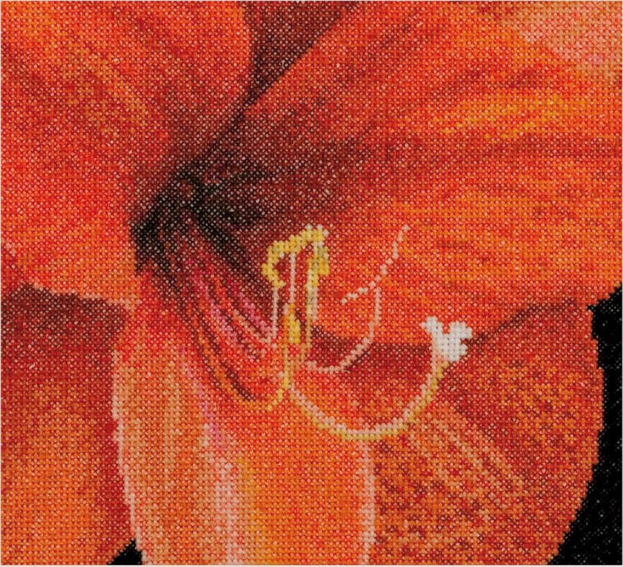 Thea Gouverneur Borduurpakket met telpatroon 496A Voorgesorteerde DMC Garens Amaryllis Aida 15 cm x 14 cm DIY Kit