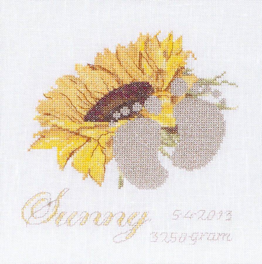Thea Gouverneur Borduurpakket met telpatroon 507A Voorgesorteerde DMC Garens Geboortetegel Zonnebloem Aida 15 cm x 15 cm DIY Kit
