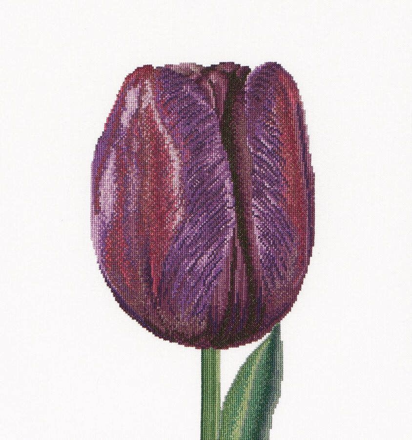 Thea Gouverneur Borduurpakket met telpatroon 514A Voorgesorteerde DMC Garens Paarse Triumph Tulp Aida 34 cm x 36 cm DIY Kit