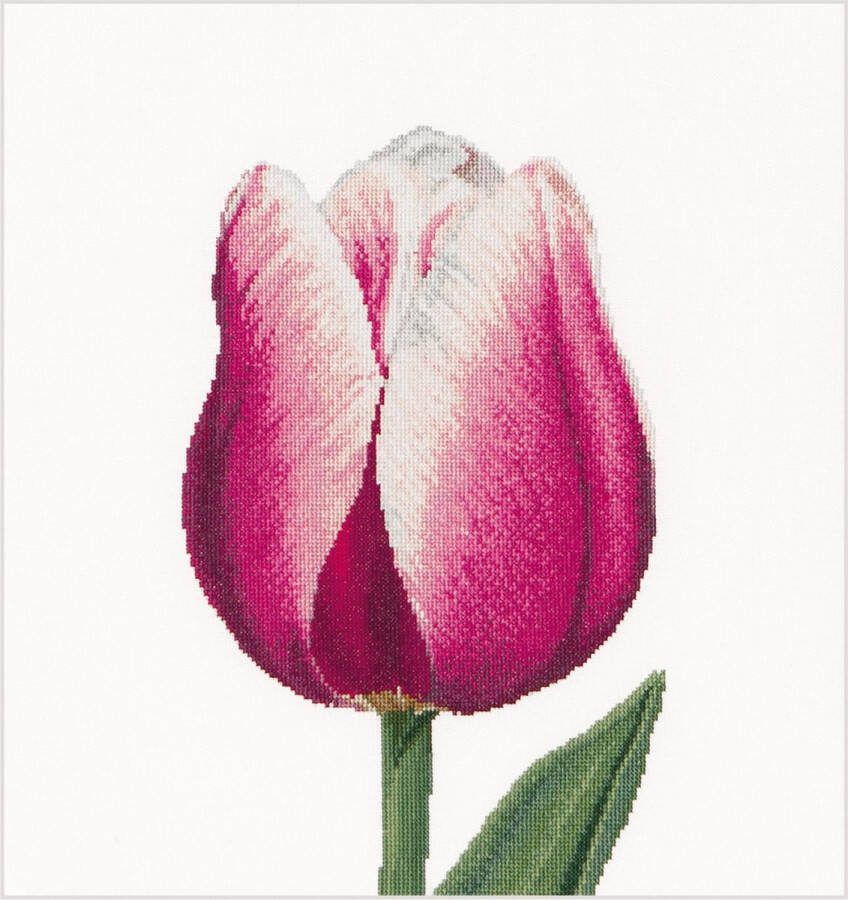 Thea Gouverneur Borduurpakket met telpatroon 517 Voorgesorteerde DMC Garens Rood-Witte Triumph Tulp Linnen 34 cm x 36 cm DIY Kit